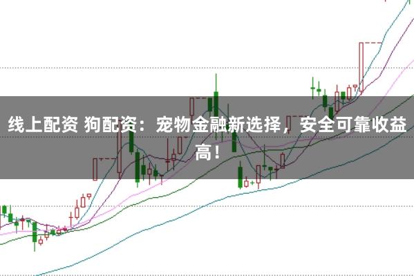 线上配资 狗配资：宠物金融新选择，安全可靠收益高！