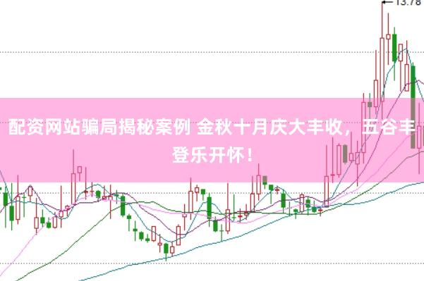 配资网站骗局揭秘案例 金秋十月庆大丰收，五谷丰登乐开怀！