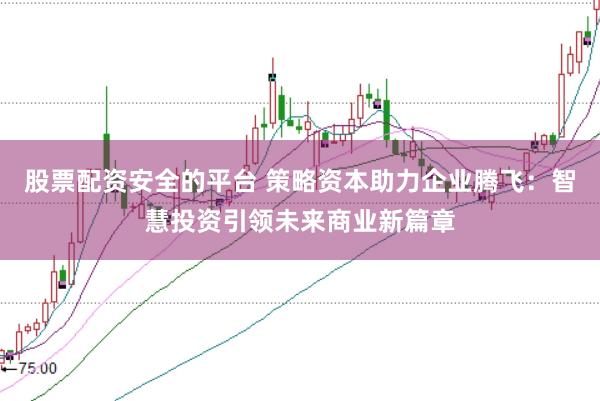 股票配资安全的平台 策略资本助力企业腾飞：智慧投资引领未来商业新篇章