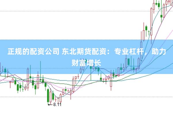正规的配资公司 东北期货配资:专业杠杆,助力财富增长