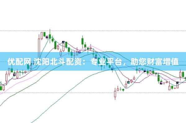 优配网 沈阳北斗配资：专业平台，助您财富增值