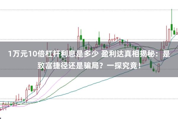 1万元10倍杠杆利息是多少 盈利达真相揭秘：是致富捷径还是骗局？一探究竟！