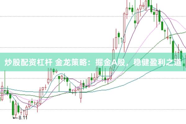 炒股配资杠杆 金龙策略：掘金A股，稳健盈利之道