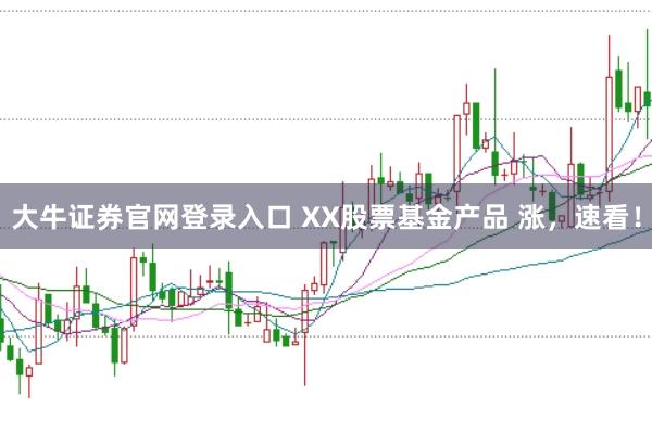 大牛证券官网登录入口 XX股票基金产品 涨，速看！