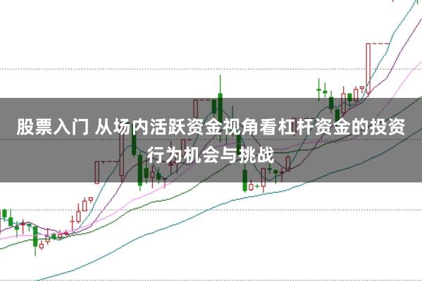 股票入门 从场内活跃资金视角看杠杆资金的投资行为机会与挑战