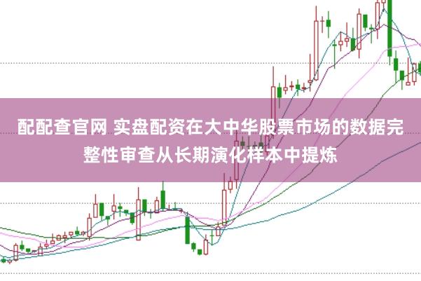 配配查官网 实盘配资在大中华股票市场的数据完整性审查从长期演化样本中提炼