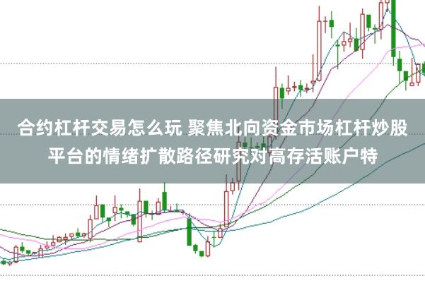 合约杠杆交易怎么玩 聚焦北向资金市场杠杆炒股平台的情绪扩散路径研究对高存活账户特