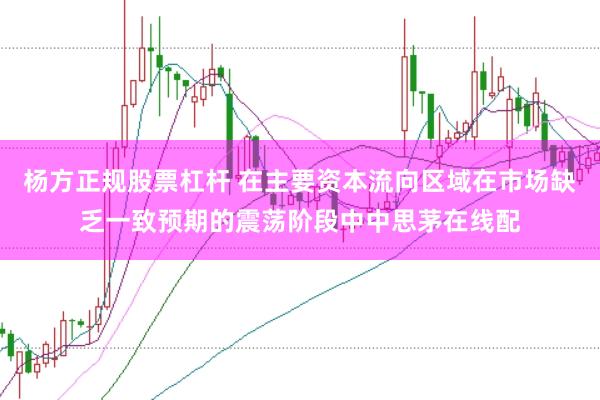 杨方正规股票杠杆 在主要资本流向区域在市场缺乏一致预期的震荡阶段中中思茅在线配
