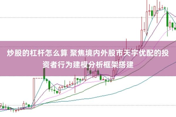 炒股的杠杆怎么算 聚焦境内外股市天宇优配的投资者行为建模分析框架搭建