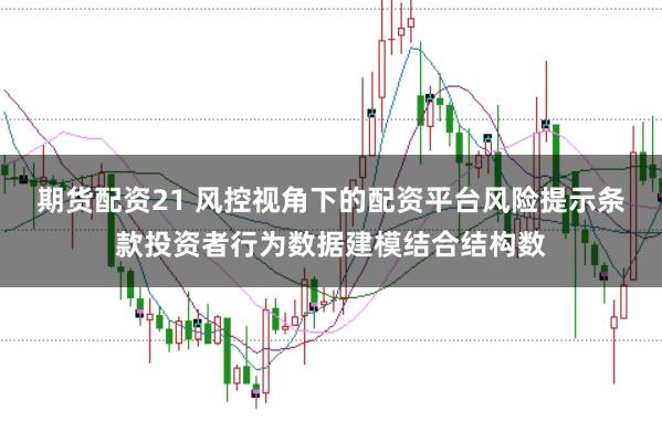 期货配资21 风控视角下的配资平台风险提示条款投资者行为数据建模结合结构数