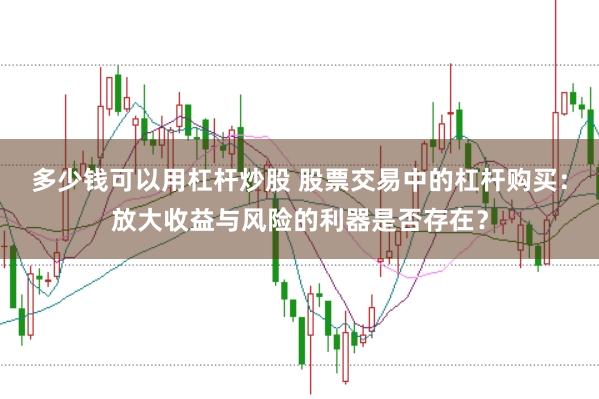 多少钱可以用杠杆炒股 股票交易中的杠杆购买：放大收益与风险的利器是否存在？