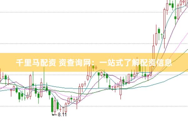 千里马配资 资查询网：一站式了解配资信息