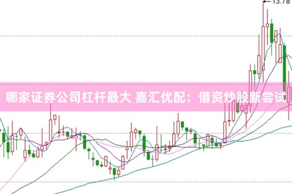 哪家证券公司杠杆最大 嘉汇优配:借资炒股新尝试