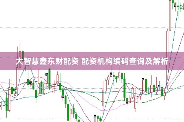 大智慧鑫东财配资 配资机构编码查询及解析