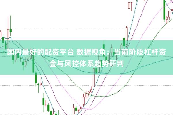 国内最好的配资平台 数据视角：当前阶段杠杆资金与风控体系趋势研判